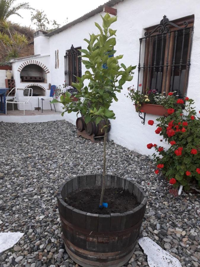 Appartamento Peace And Tranquility At Montana Retreat Alora Esterno foto