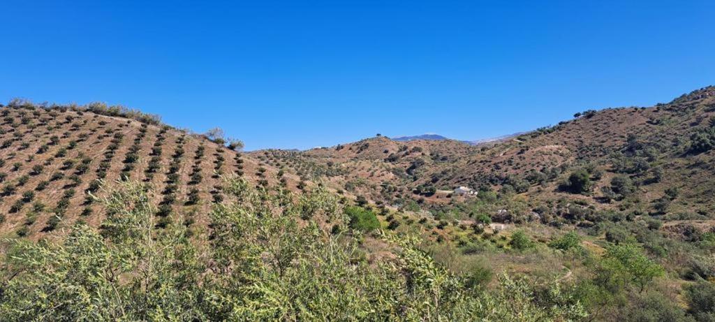 Appartamento Peace And Tranquility At Montana Retreat Alora Camera foto