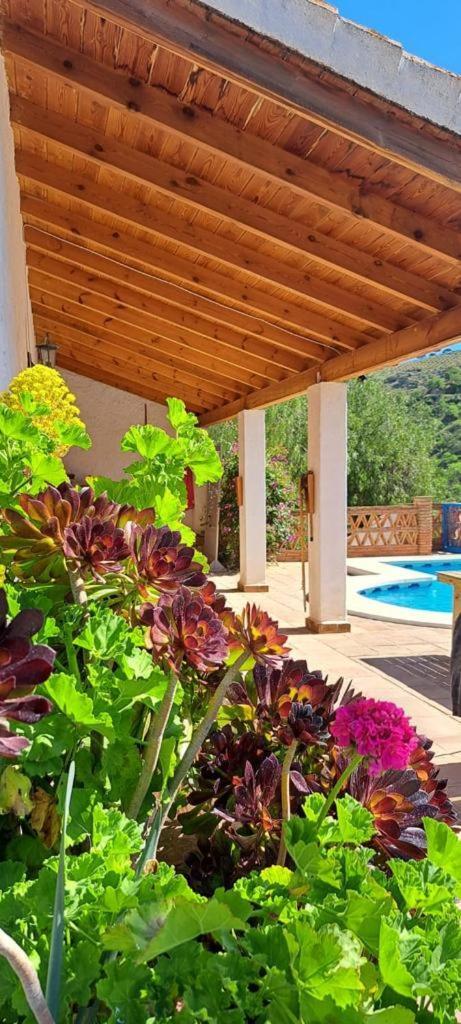 Appartamento Peace And Tranquility At Montana Retreat Alora Camera foto